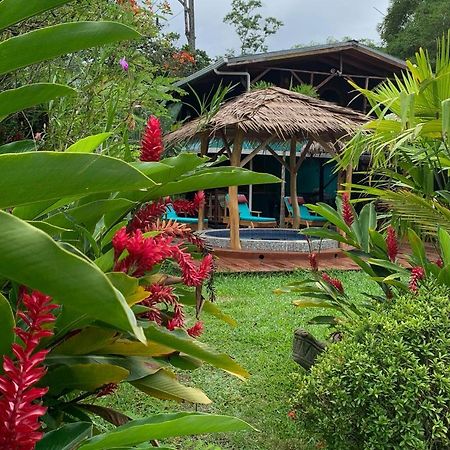 Casa Mambo Panzió Cahuita Kültér fotó