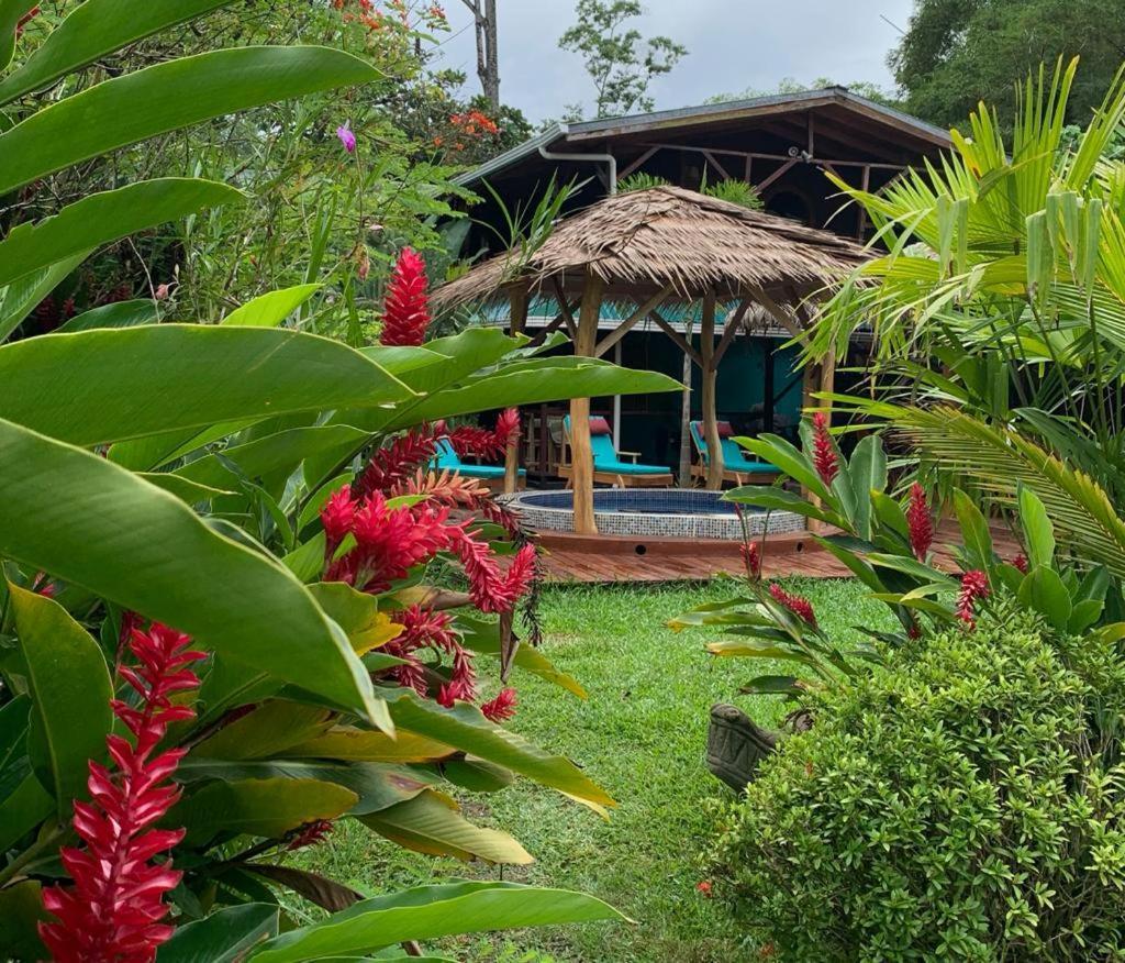 Casa Mambo Panzió Cahuita Kültér fotó