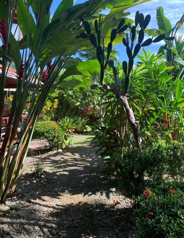 Casa Mambo Panzió Cahuita Kültér fotó