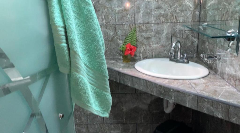 Casa Mambo Panzió Cahuita Kültér fotó